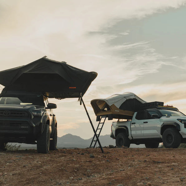 ROAM Vagabond 2.0 Sand